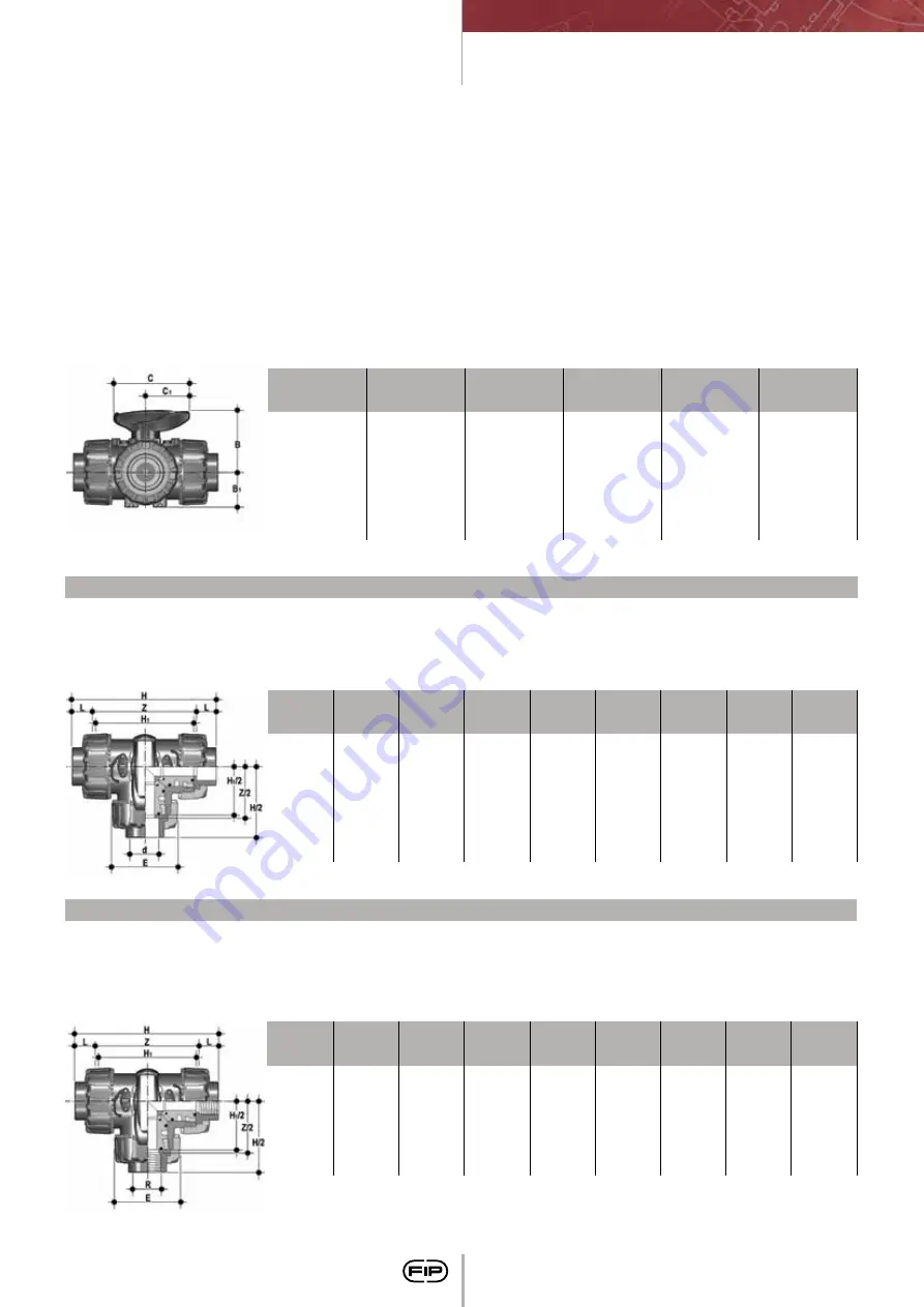 FIP CM PVC-C Manual Download Page 61