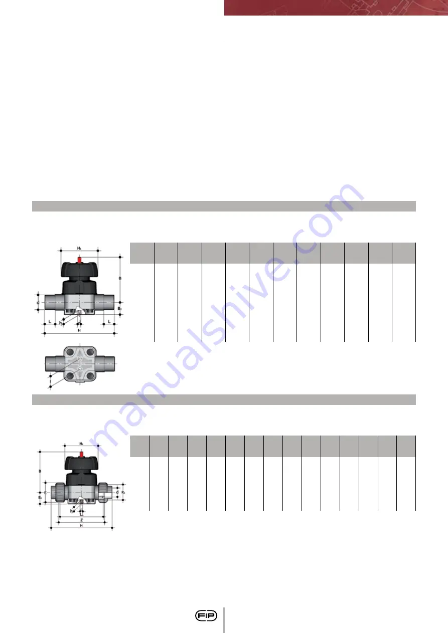 FIP CM PVC-C Manual Download Page 167