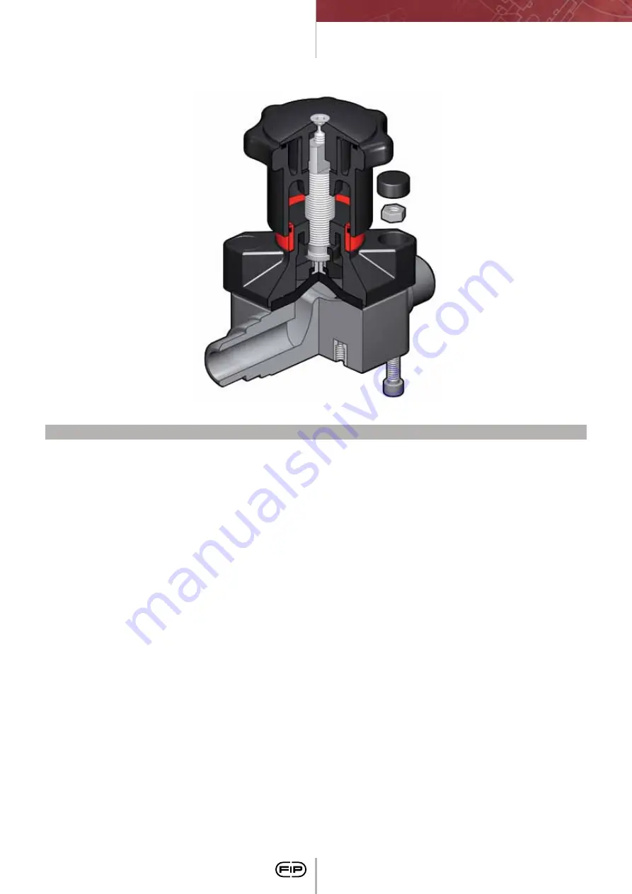 FIP CM PVC-C Manual Download Page 177