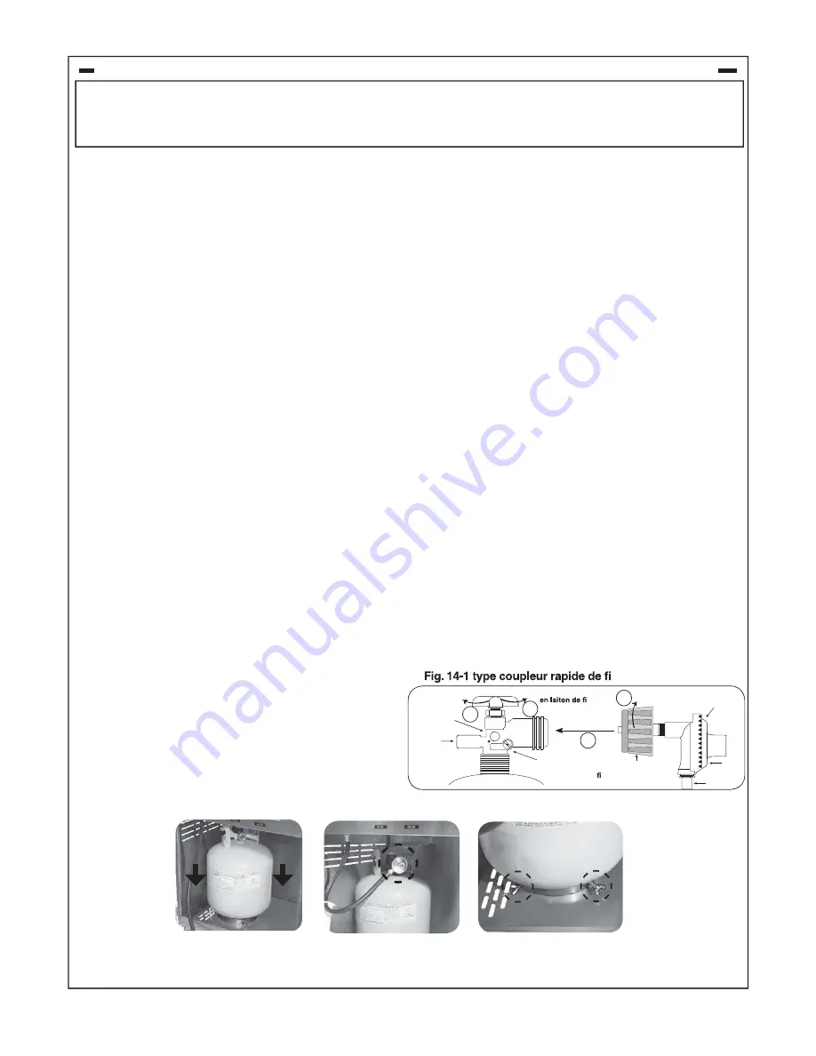 FireMagic CHOICE C430S Installation Instructions And Owner'S Manual Download Page 14