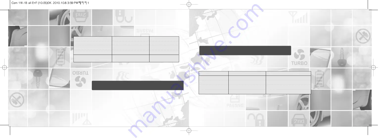 Firstech 1BAMR User Manual Download Page 1