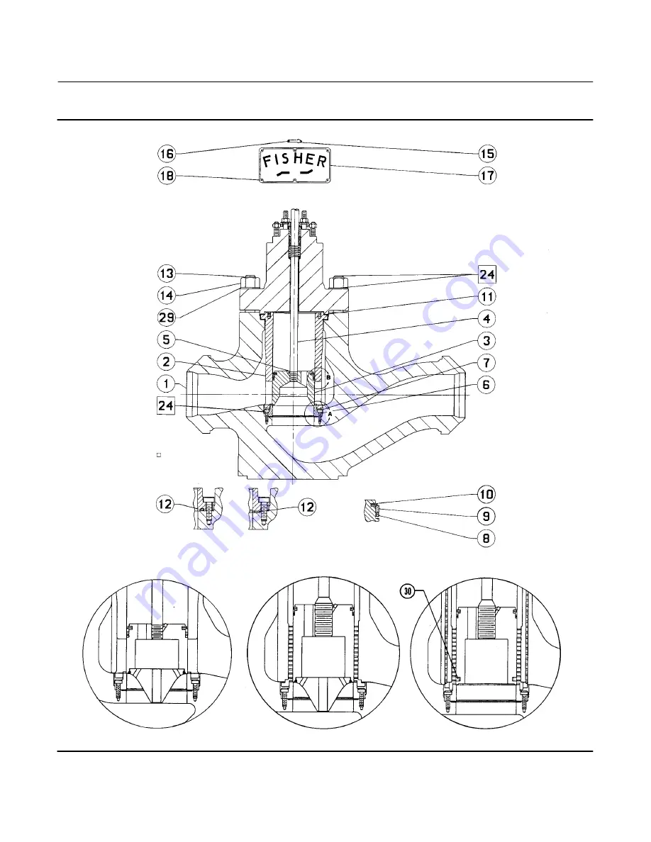 Fisher EHD series Скачать руководство пользователя страница 29