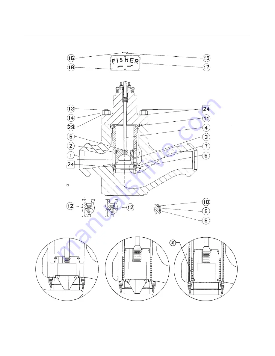 Fisher EHD Скачать руководство пользователя страница 25