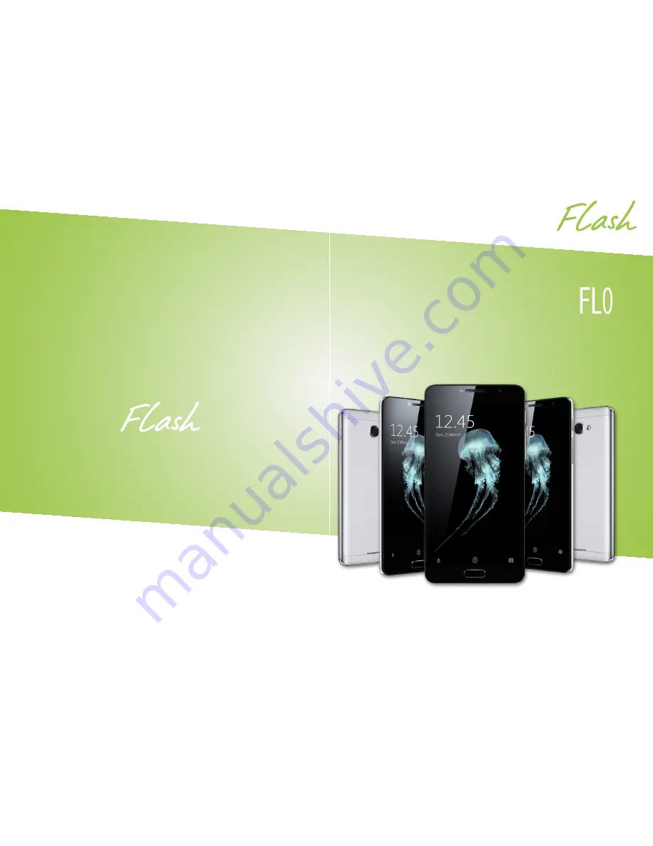 Flash FLO2 Quick Start Manual Download Page 1