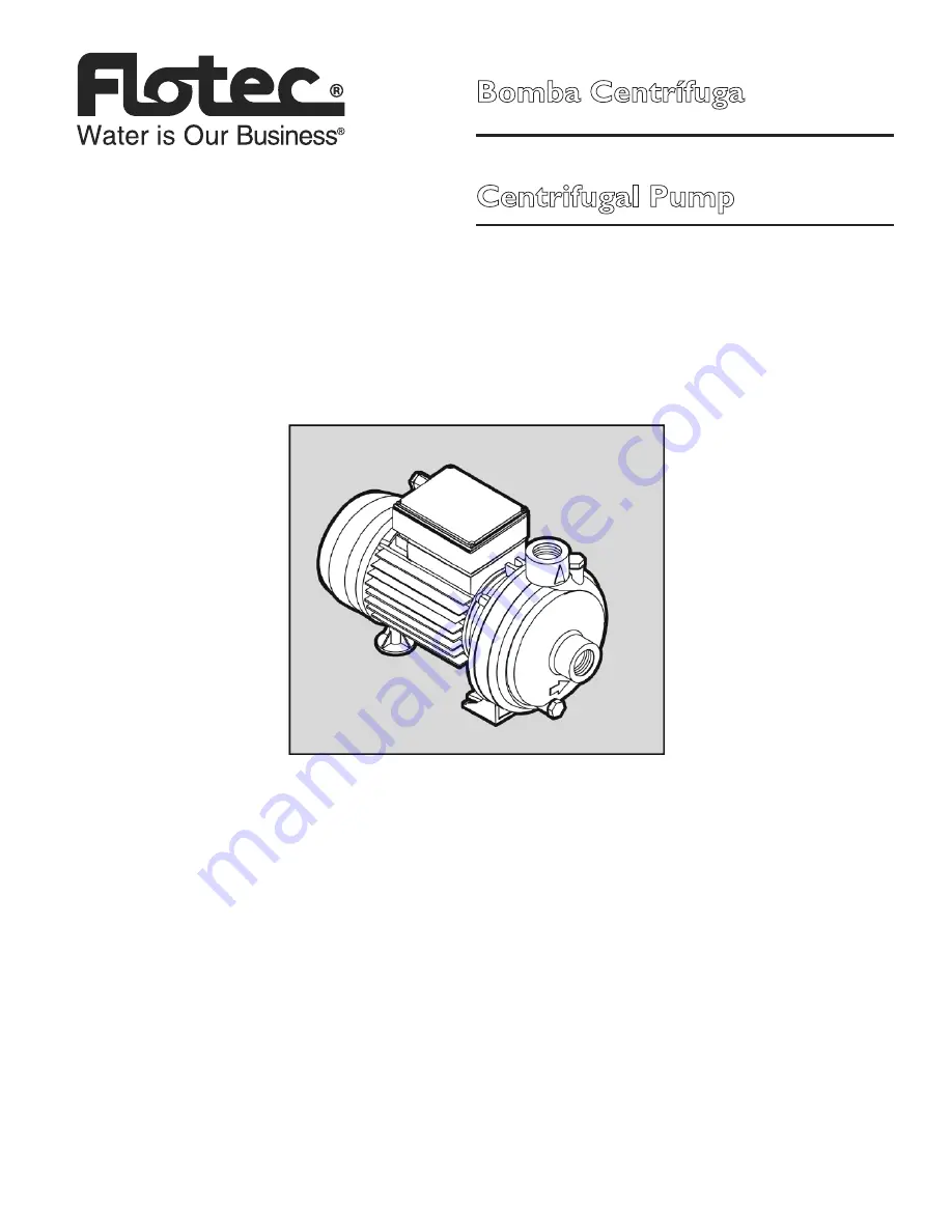 Flotec FP4505 Скачать руководство пользователя страница 1