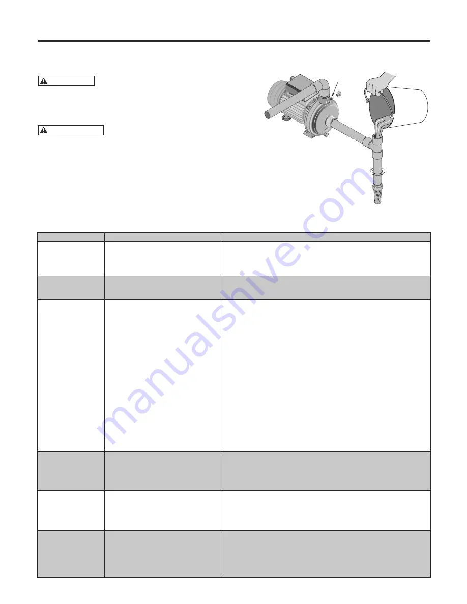 Flotec FP4505 Owner'S Manual Download Page 5