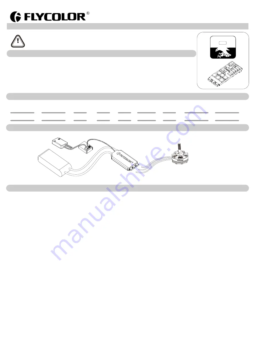 Flycolor Raptor BLS Series User Manual Download Page 1