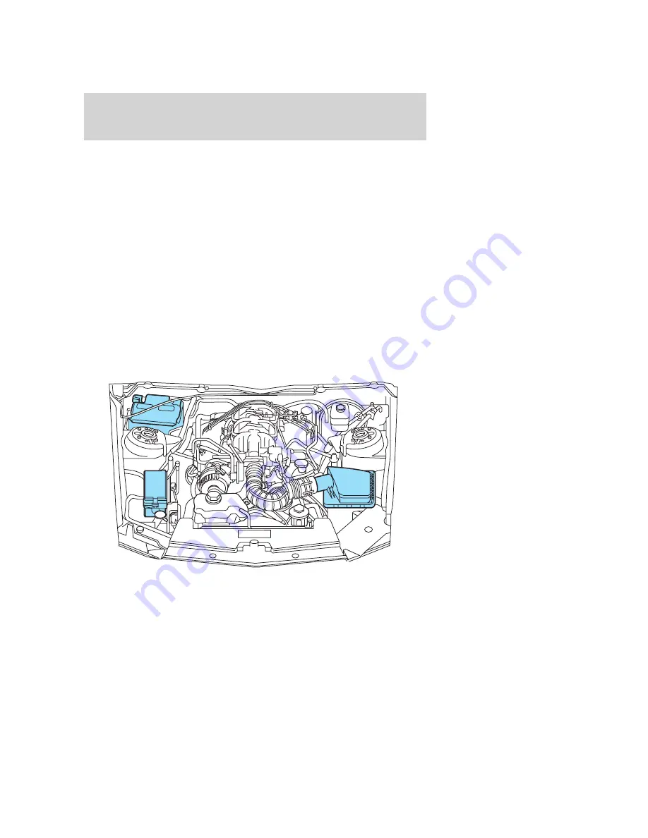 Ford 2010 05+ Mustang Owner'S Manual Download Page 259