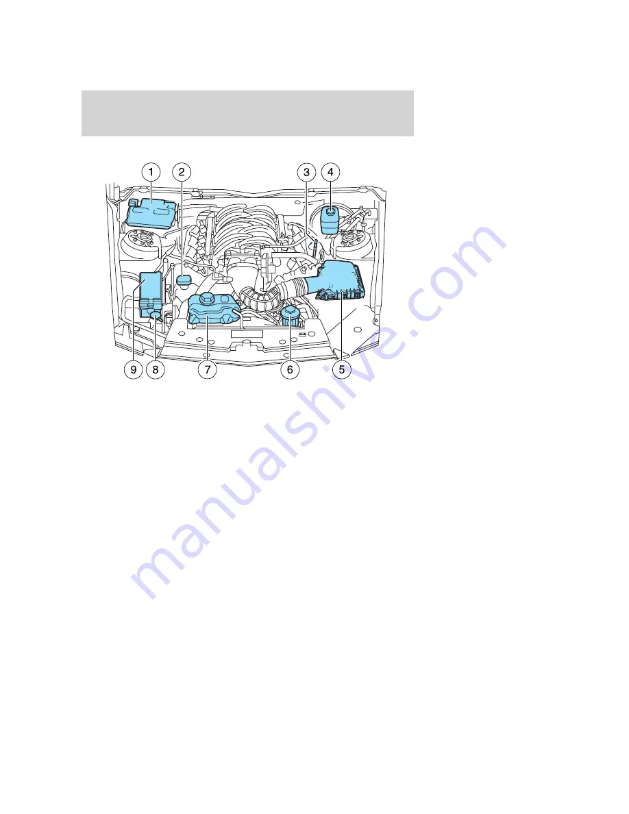 Ford 2010 05+ Mustang Owner'S Manual Download Page 268