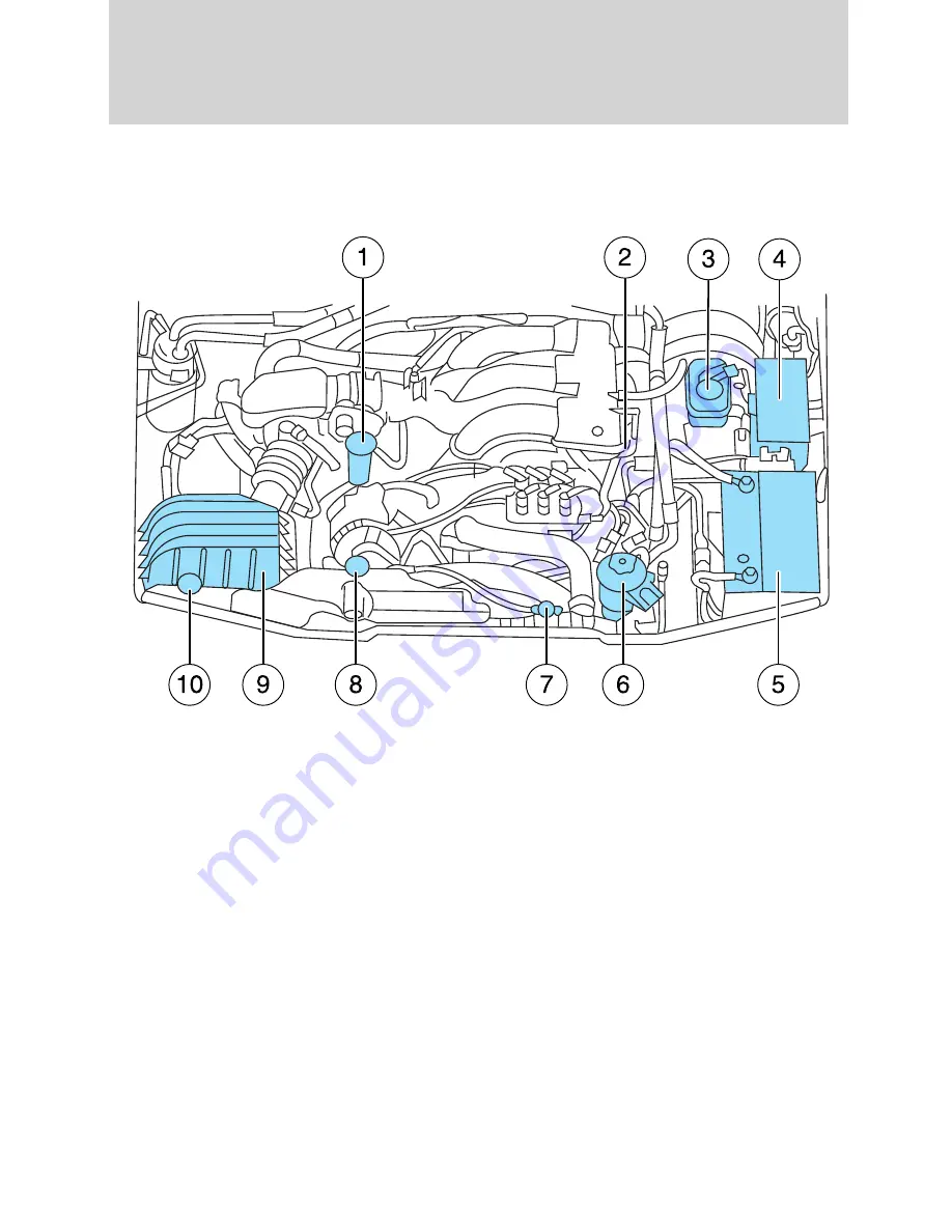 Ford 2010 Mountaineer Owner'S Manual Download Page 337