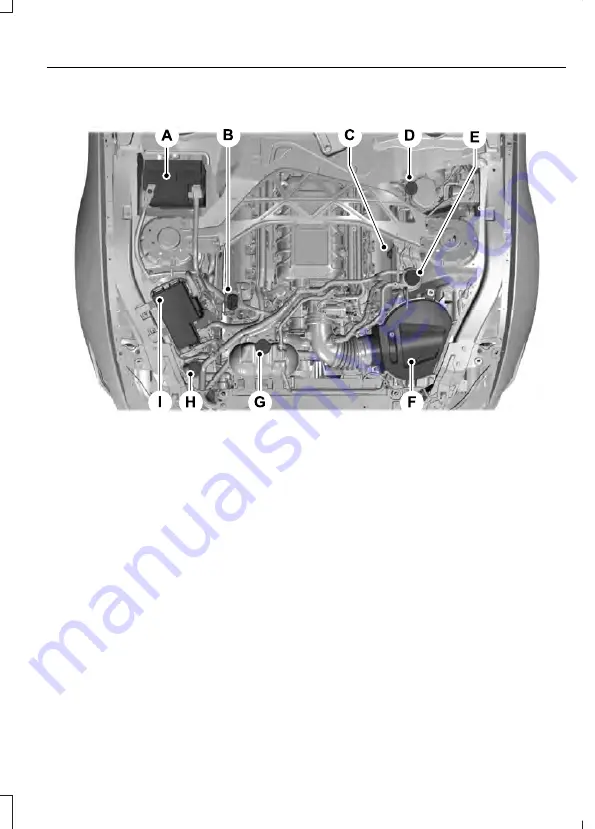 Ford Mustang Shelby GT500 2020 Supplement Manual Download Page 42