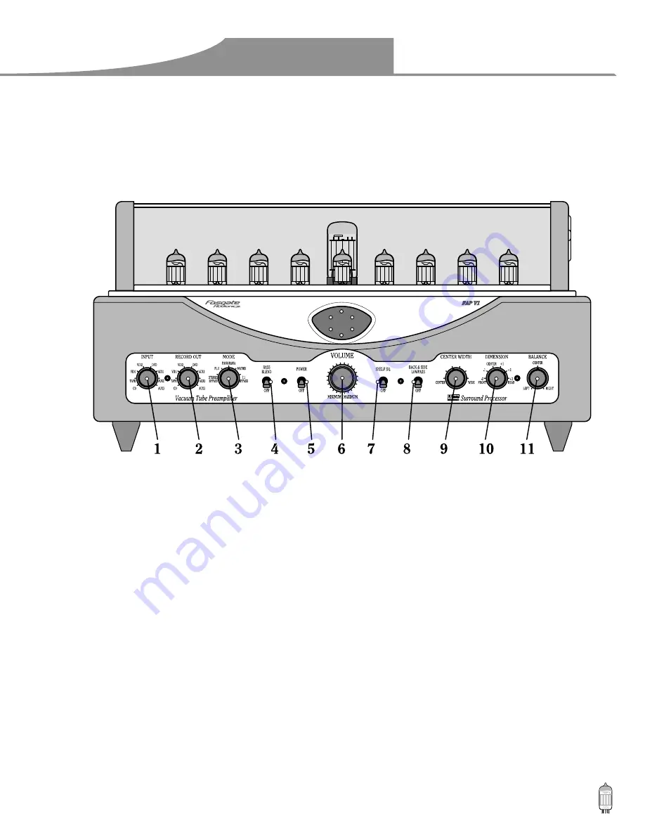 Fosgate Audionics FAP V1 Скачать руководство пользователя страница 11