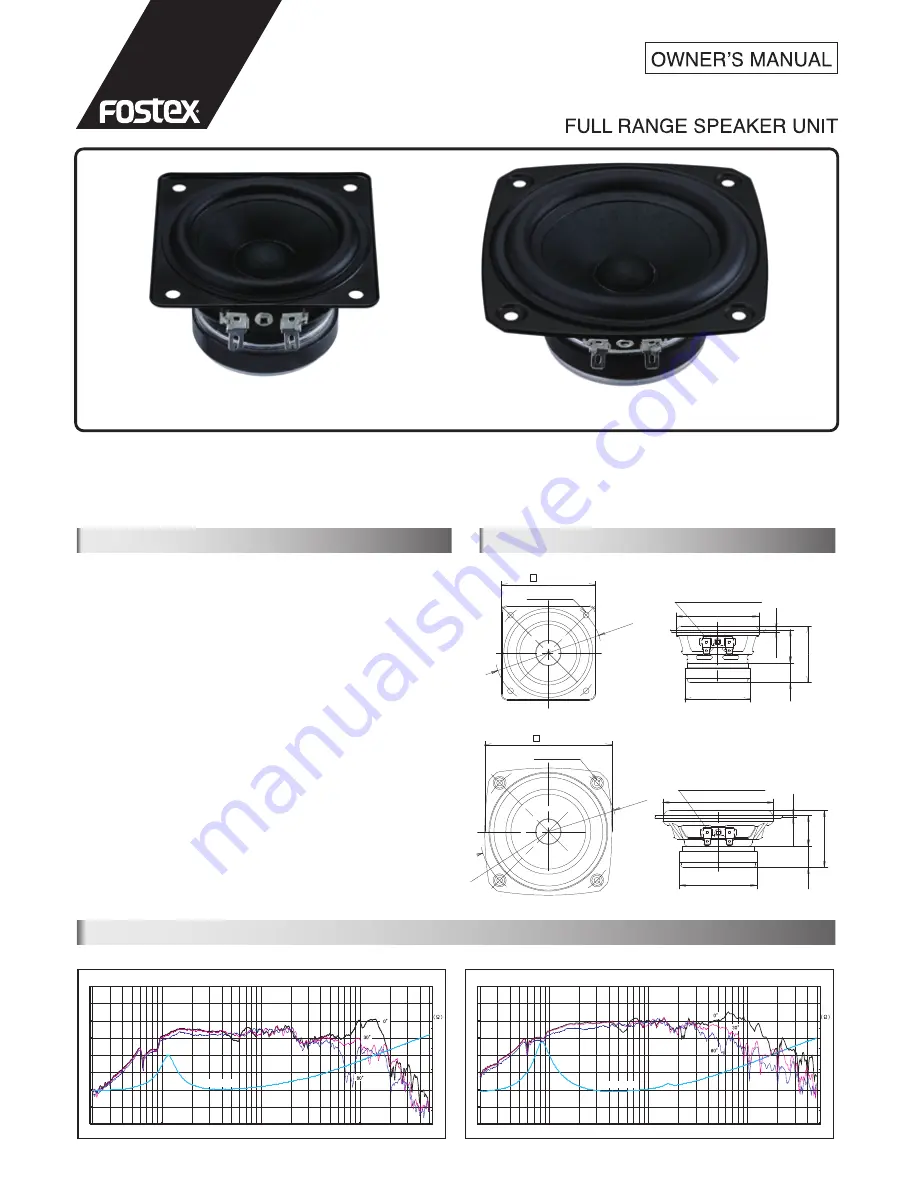 Fostex P800K Скачать руководство пользователя страница 1