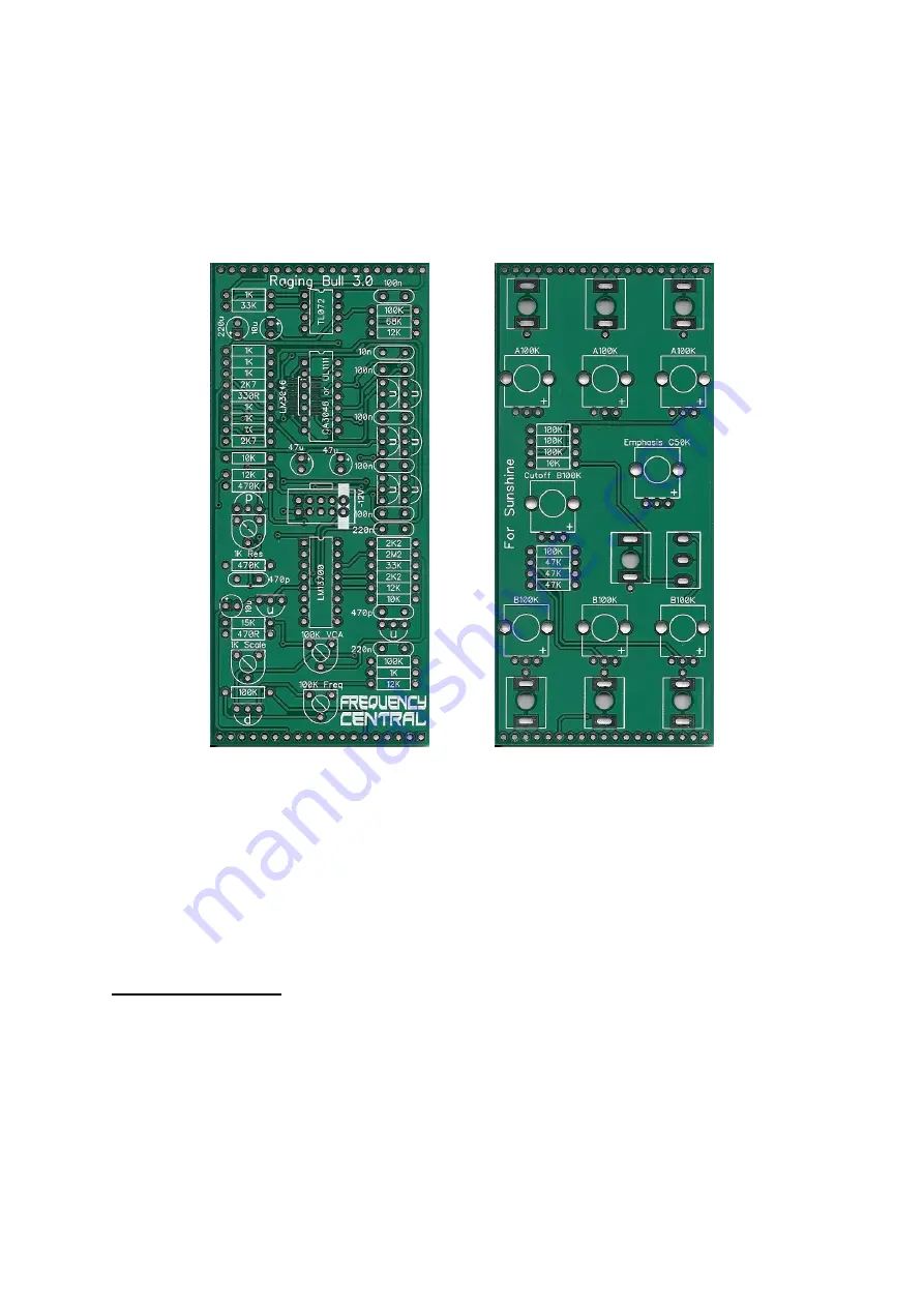 Frequency Central Raging Bull 3.0 Скачать руководство пользователя страница 1