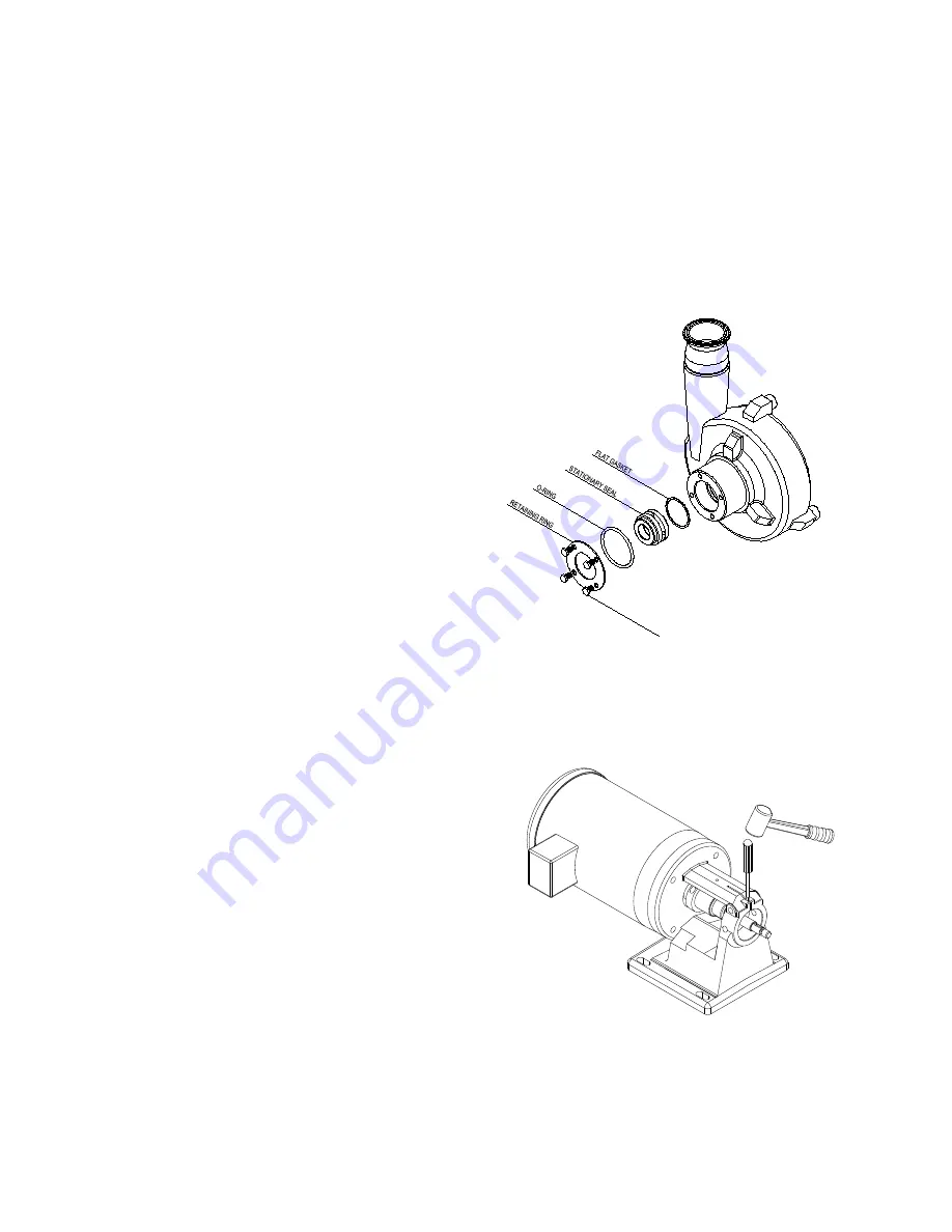 Fristam Pumps FP Series Instruction And Maintenance Manual Download Page 8