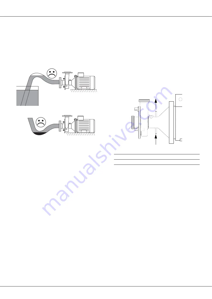 Fristam Pumps FSP Series Original Instructions Manual Download Page 12