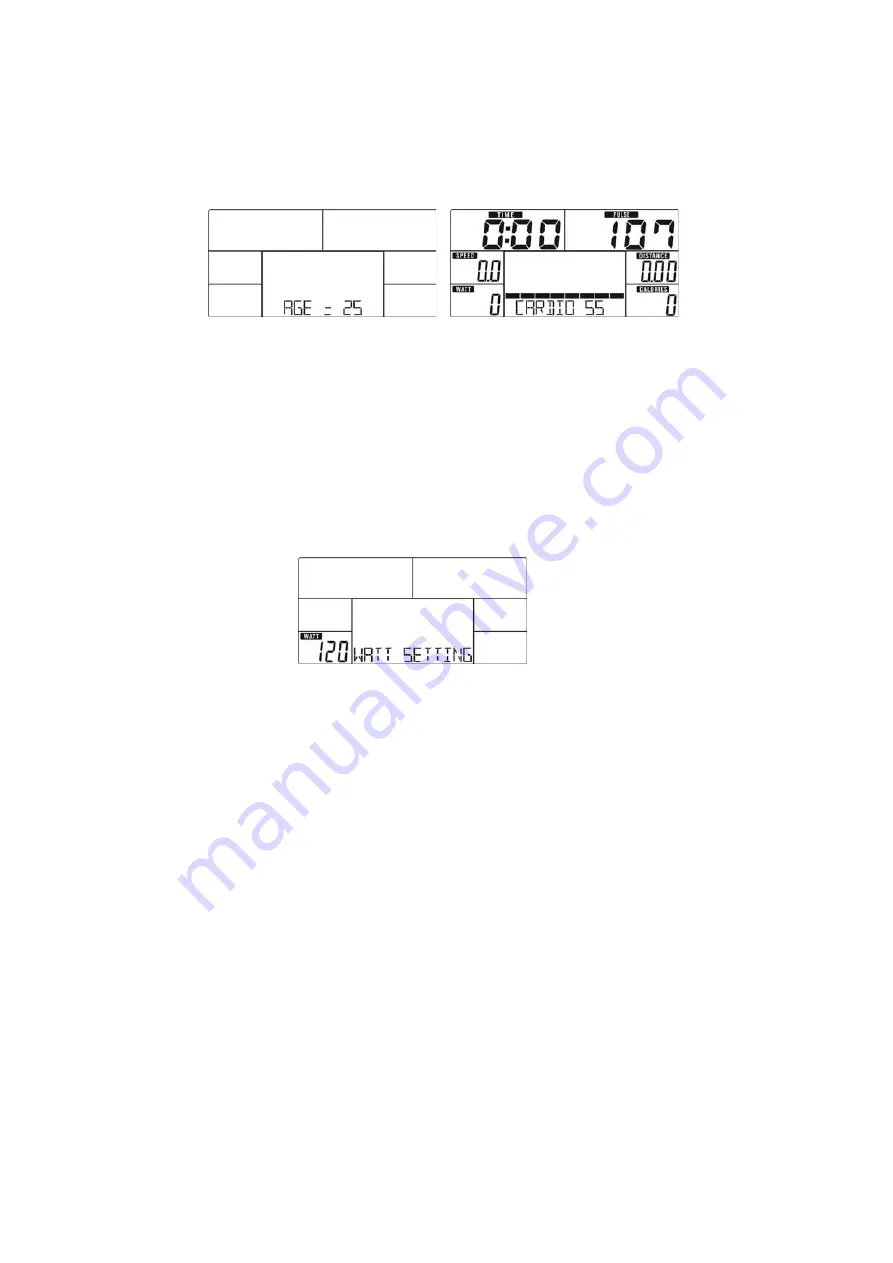 Fuel Ergometer FE 300 User Manual Download Page 38