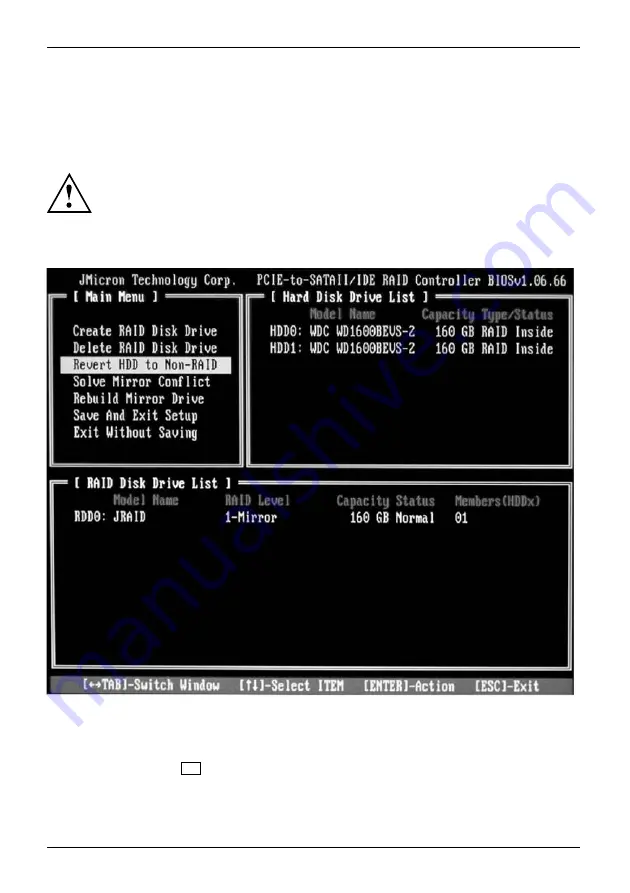 Fujitsu Siemens Computers JMicron JMB362 User Manual Download Page 252