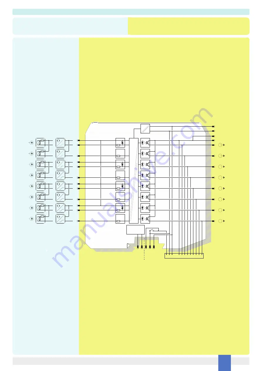 G.M. International D5231E Instruction Manual Download Page 5