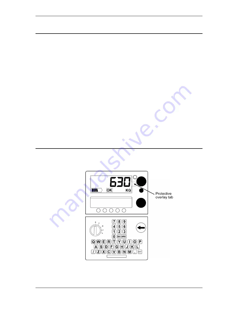 Gallagher SmartScale 600 Скачать руководство пользователя страница 5