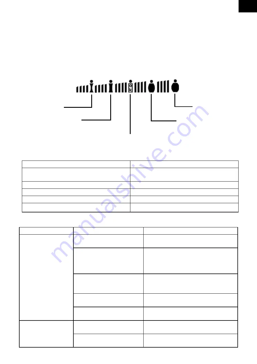 Gallet PEP 817 Instruction Manual Download Page 13