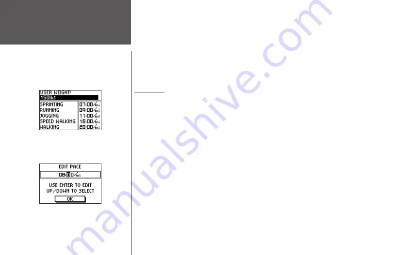 Garmin 101 Owner'S Manual Download Page 40