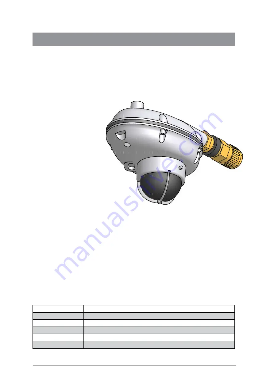 GASSONIC SURVEYOR User Manual Download Page 3