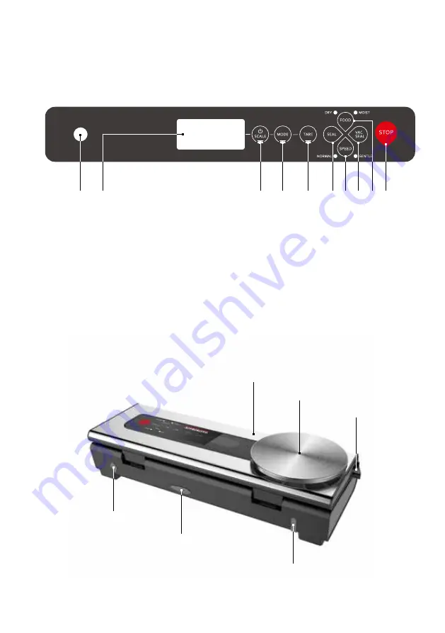 Gastroback Design Vacuum Sealer Advanced Scale Скачать руководство пользователя страница 42