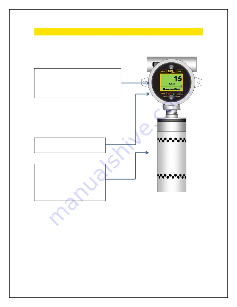 GDS Corp GASMAX CX Скачать руководство пользователя страница 24