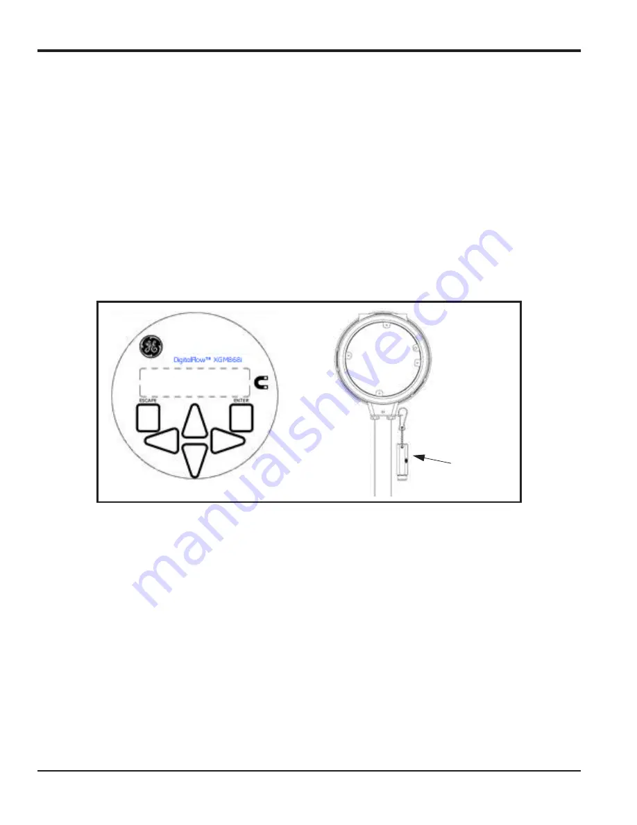 GE DigitalFlow XGM868i Startup Manual Download Page 38