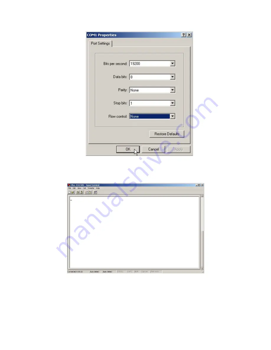 Gigafast EE2400-S User Manual Download Page 12