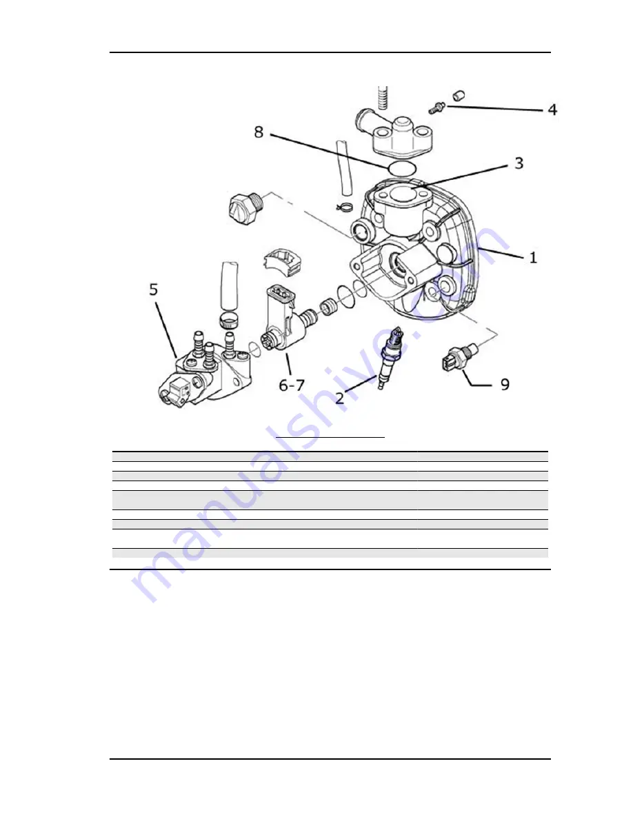 Gilera Runner Purejet 2007 Workshop Manual Download Page 215