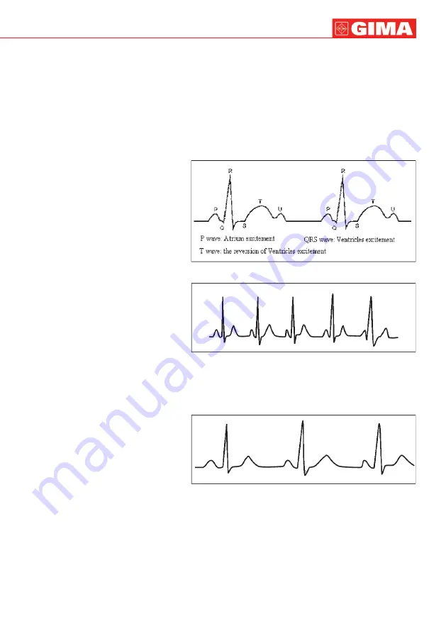 Gima PC-80B Use And Maintenance Download Page 31