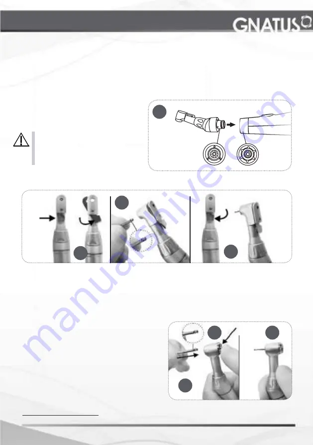 GNATUS Endus Duo R Owner'S Manual Download Page 51