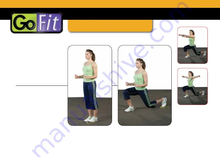 GoFit GO SLIDES Training Manual Download Page 6