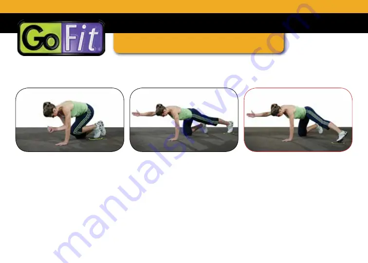 GoFit GO SLIDES Скачать руководство пользователя страница 8