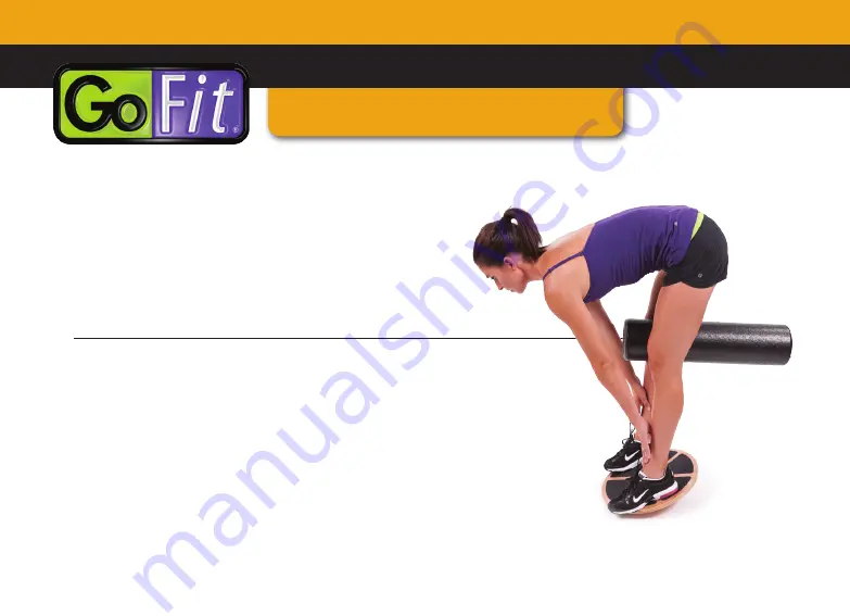 GoFit WOBBLE BOARD Training Manual Download Page 20