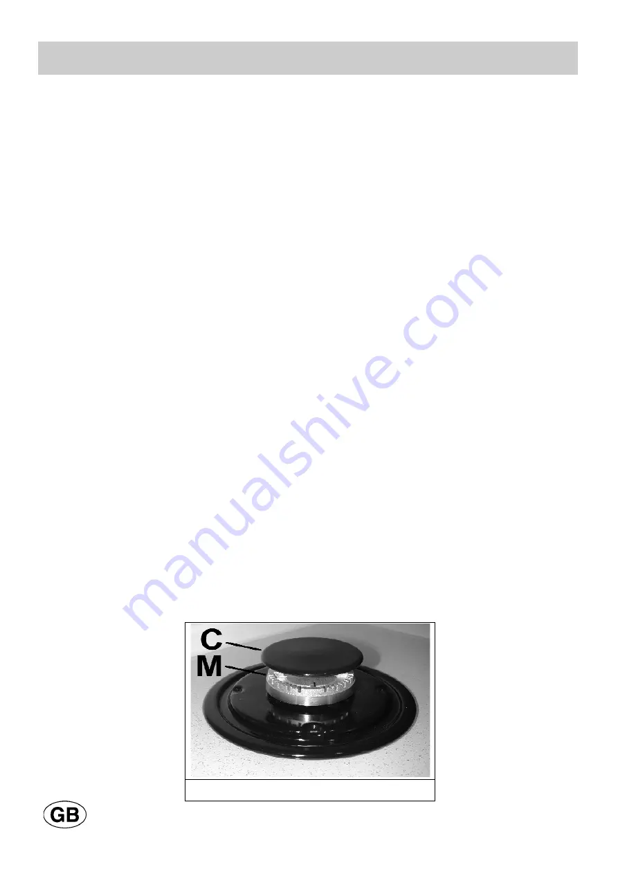 Gorenje GT64AB1-236661 Instruction Manual Download Page 21