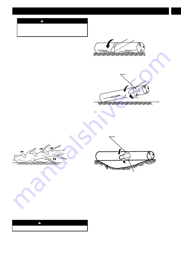 GreenWorks Pro 2000002 Operator'S Manual Download Page 11