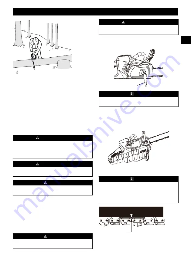 GreenWorks Pro 2000402 Operator'S Manual Download Page 43