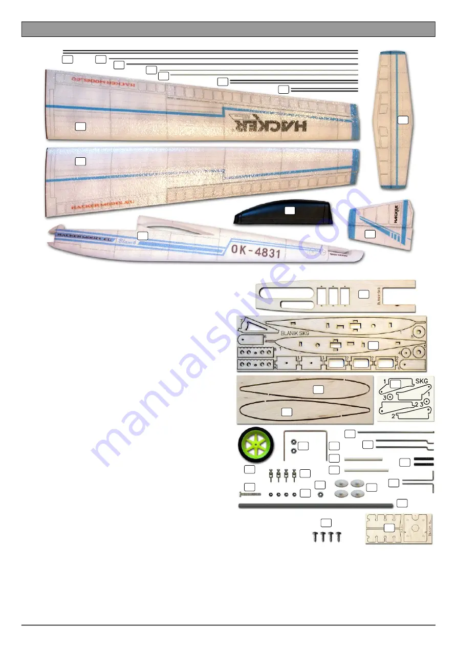 Hacker Blanik Electro ARF SKG Series Manual Download Page 6