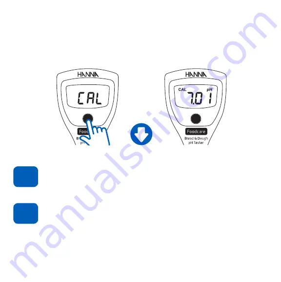 Hanna Instruments Foodcare HI981038 Скачать руководство пользователя страница 5