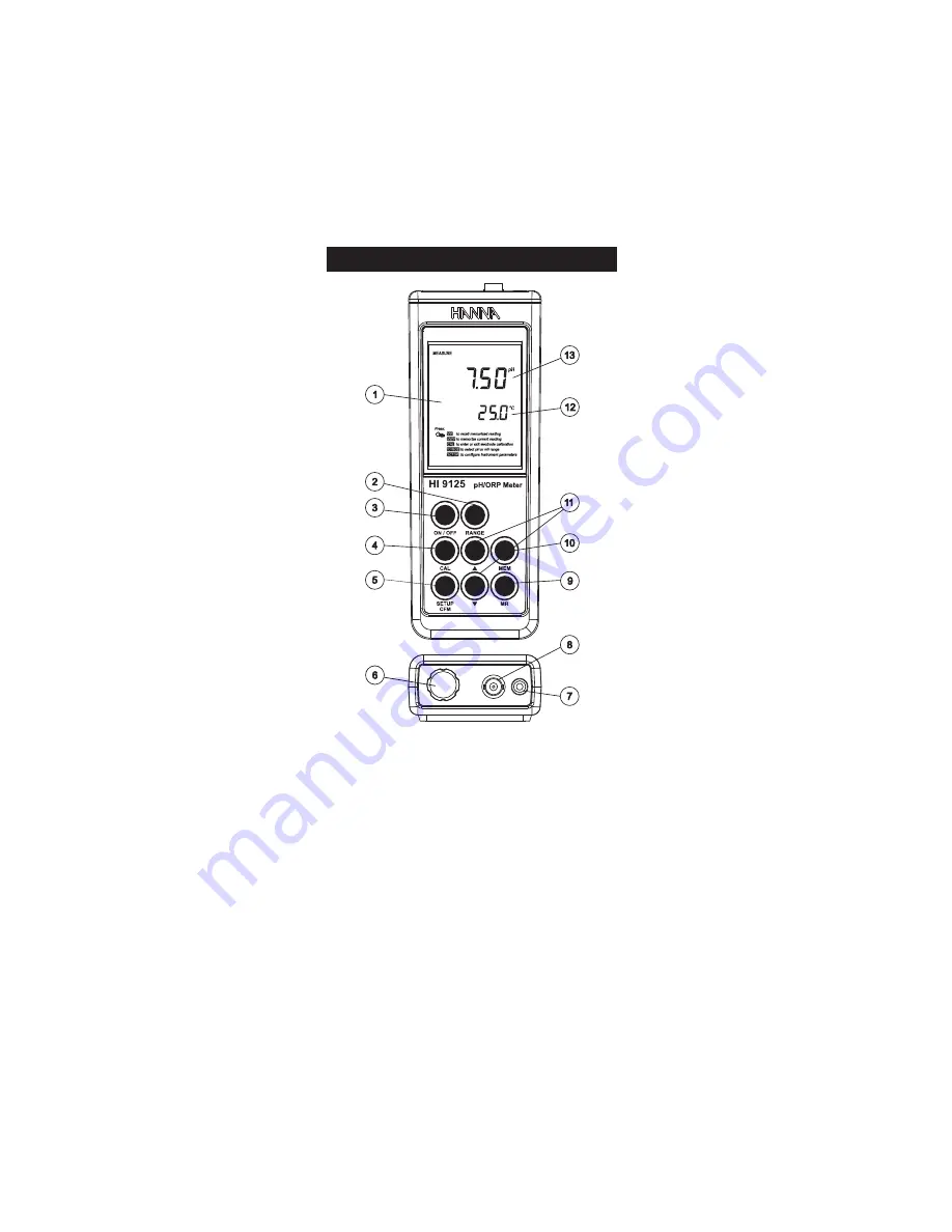 Hanna HI 9124 Instruction Manual Download Page 5