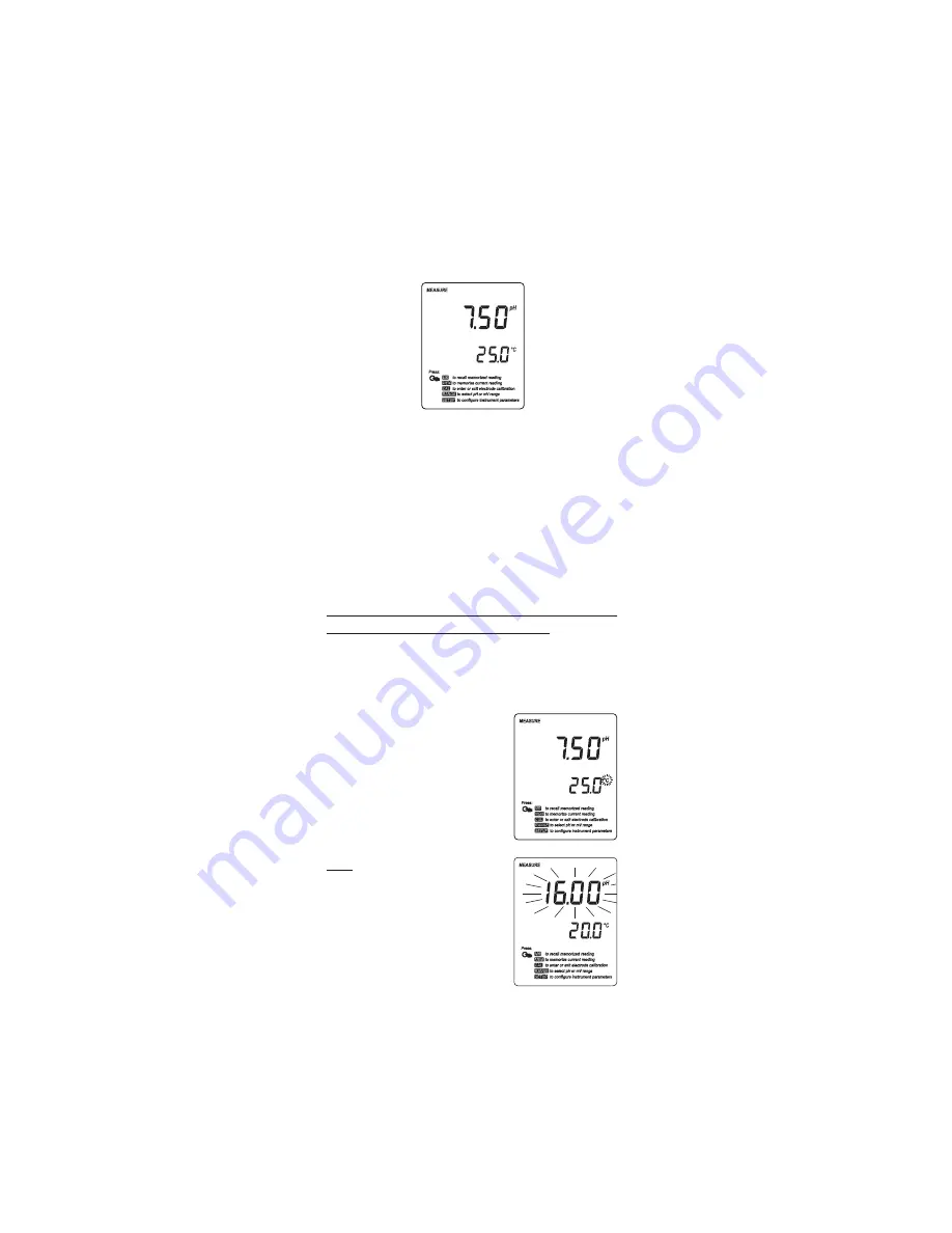 Hanna HI 9124 Instruction Manual Download Page 8