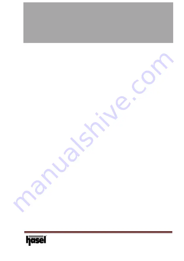 HASEL HSL-BBP-03K Operating Manual Download Page 2