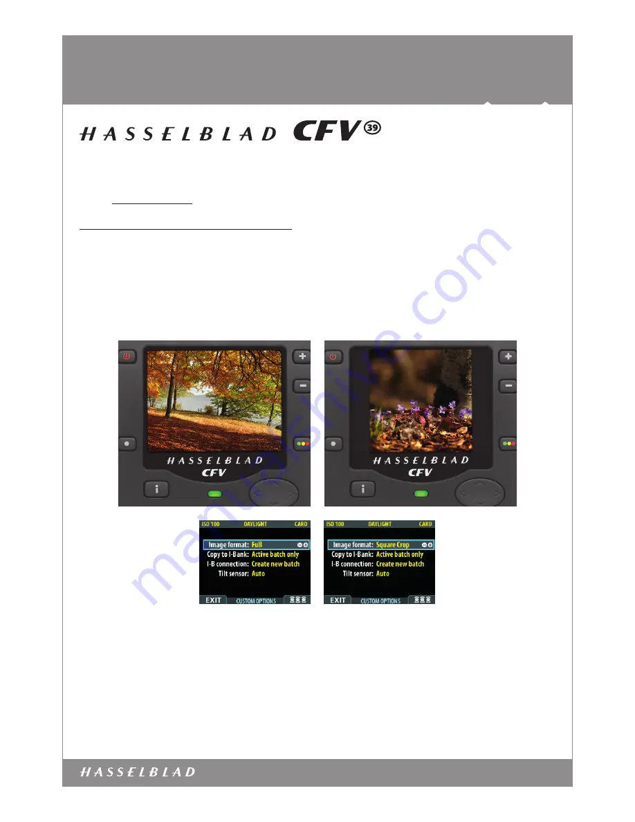 Hasselblad CFV-39 - Datasheet Download Page 5