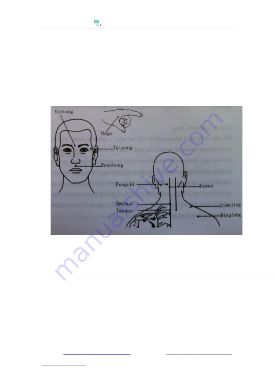 Health herald Digital Therapy Machine User Manual Download Page 19