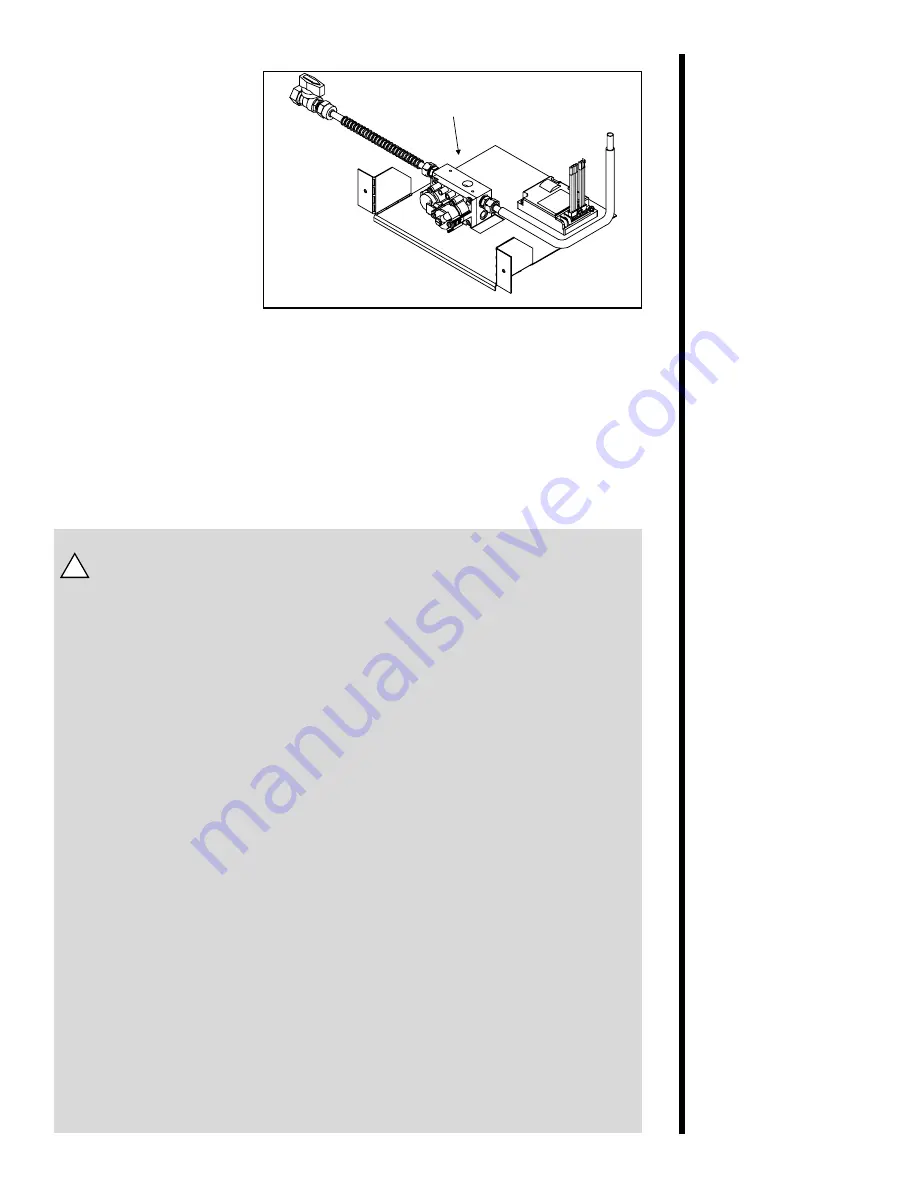 Heat-N-Glo Gas Fireplace Скачать руководство пользователя страница 8