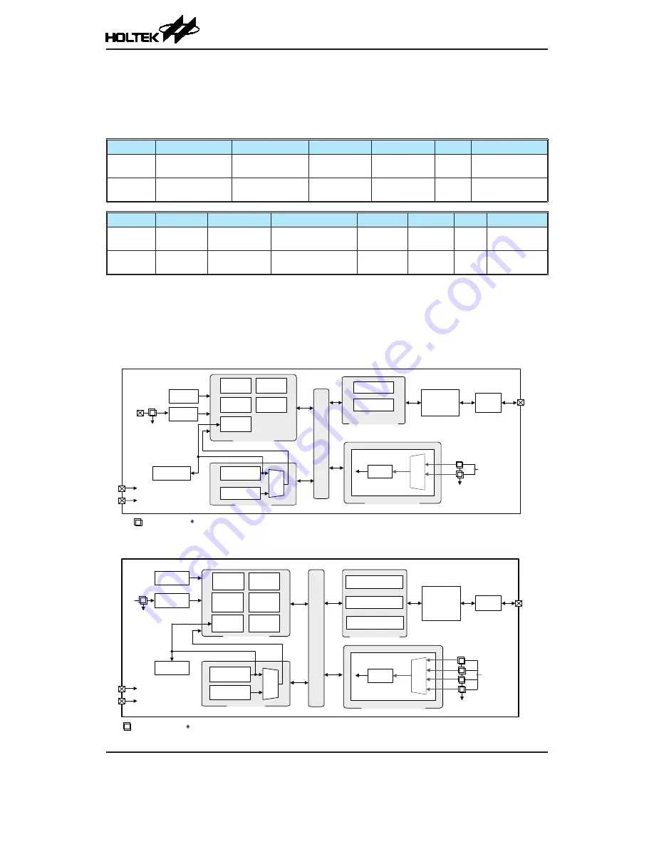 Holtek BS83A02L Скачать руководство пользователя страница 8