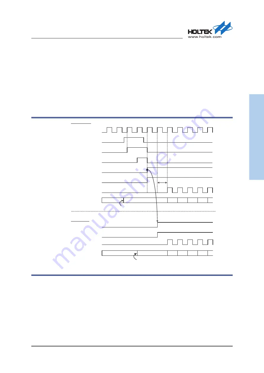 Holtek HT32F54231 Скачать руководство пользователя страница 246